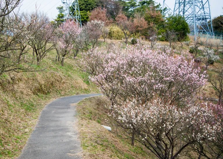 🏞️ 관산 종합공원 (간무리야마 소고 코엔) 이미지 12